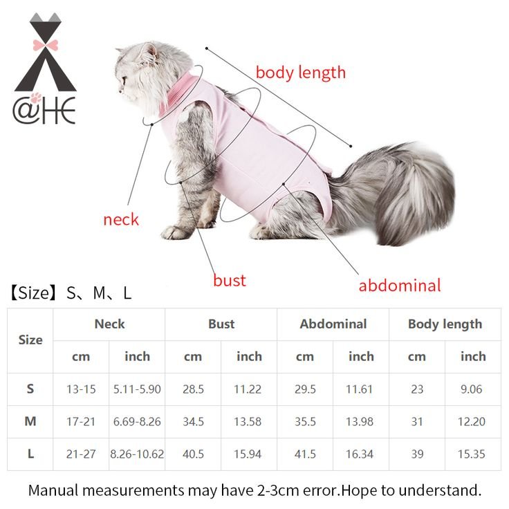 What Size Clothes Do Cats Wear? Complete Cat Clothing Size Guide for Pet Owners