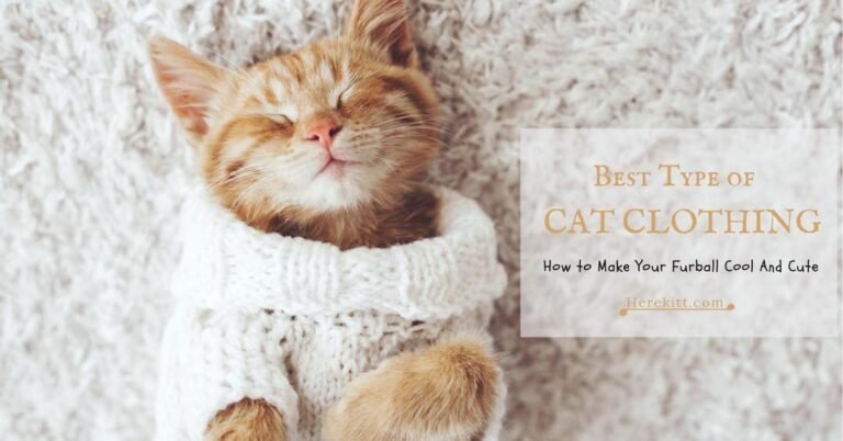 What Type of Clothing Do Cats Like? A Complete Guide to Comfortable Cat Clothing
