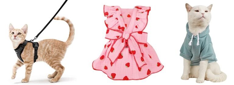 Are Clothes Safe for Cats? A Complete Expert Guide to Feline Clothing Safety