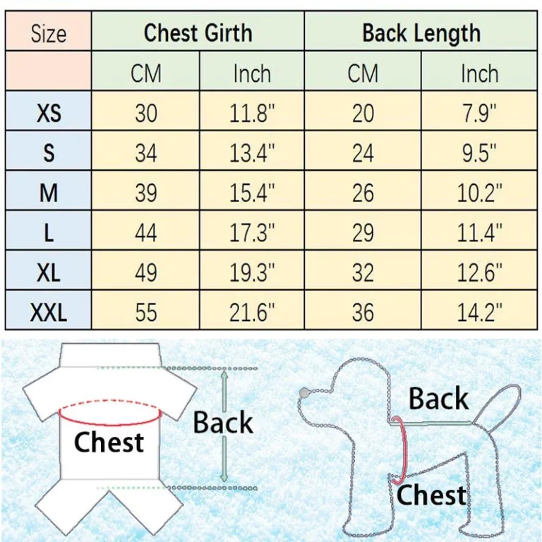 What Size Shirt Does My Dog Wear? A Simple Dog Shirt Size Guide