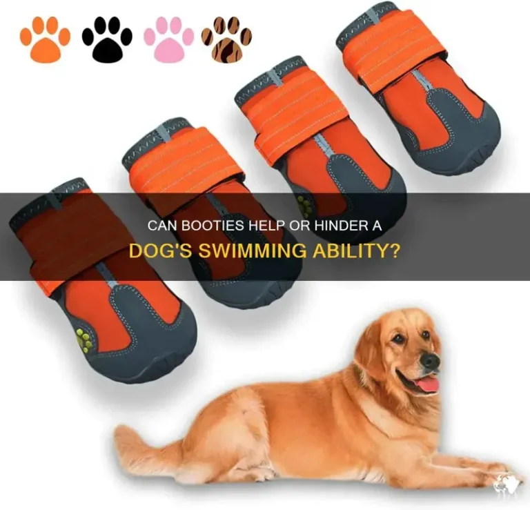 Can Dogs Swim With Booties On? Safety, Risks, and Tips