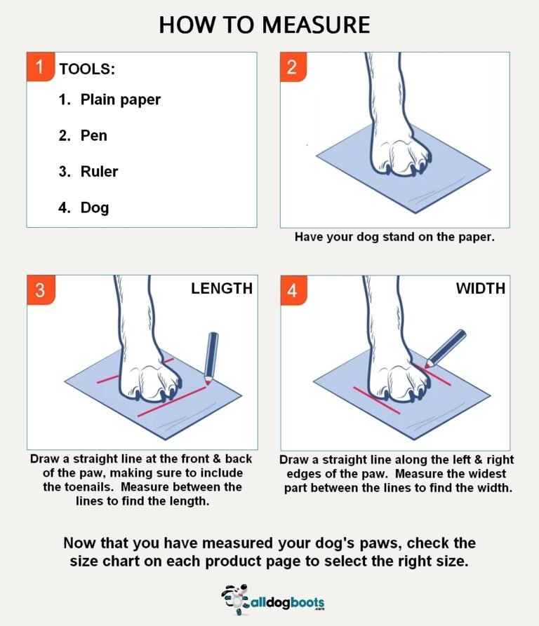 How Are Dog Boots Supposed to Fit? A Complete Fit and Sizing Guide