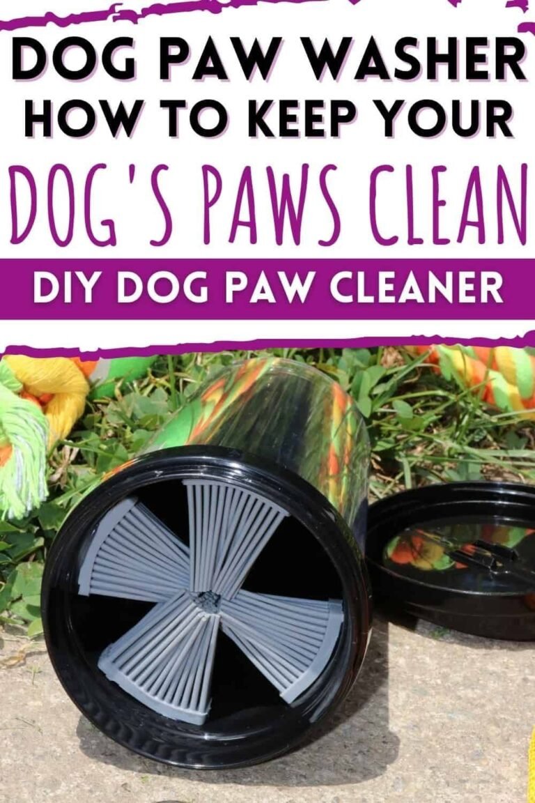 How to Keep Dog's Paws From Getting Muddy