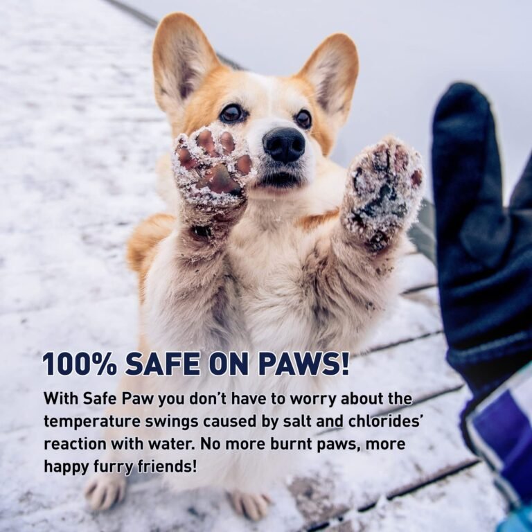 How to Protect Dog Paws From Salt