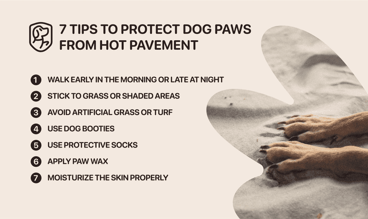How to Protect Dog Paws From Hot Pavement