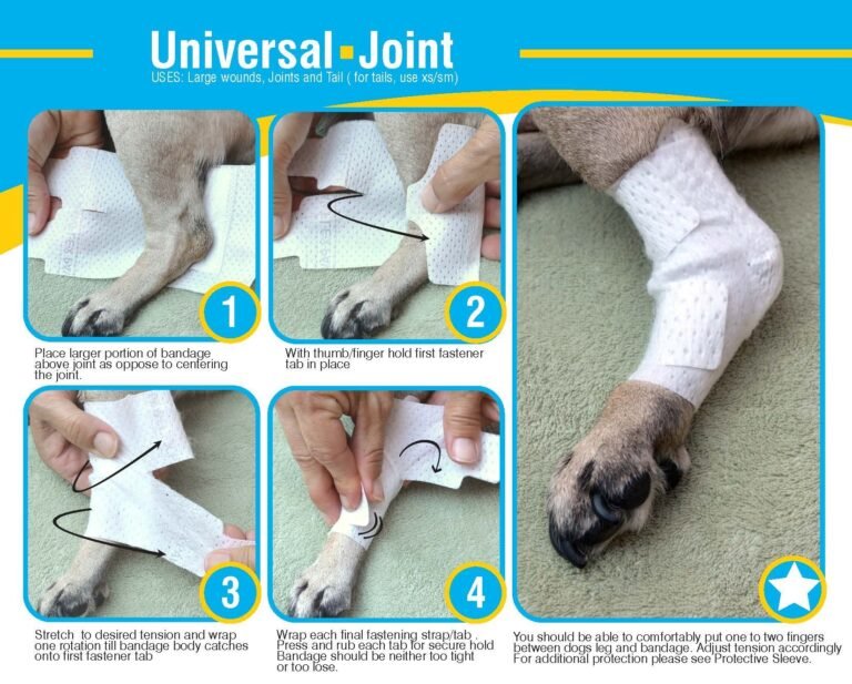 How to Reduce Swelling From a Tight Bandage on a Dog Paw