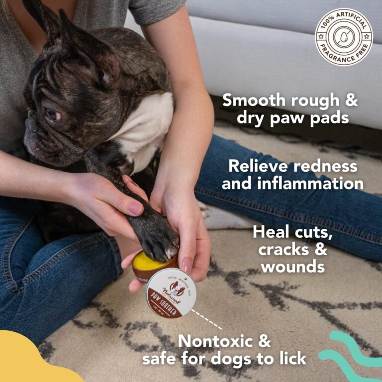 How to Harden Dog Paw Pads Safely