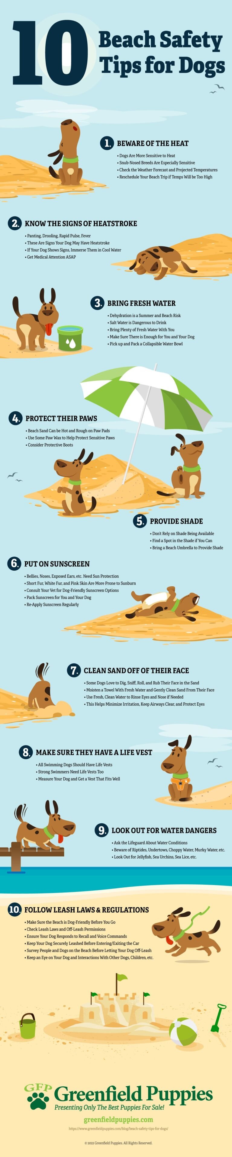 How to Protect Dogs Paws at Beach