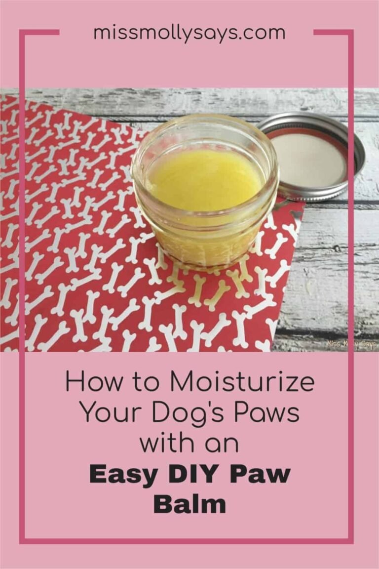 How to Moisturize Dog Paws