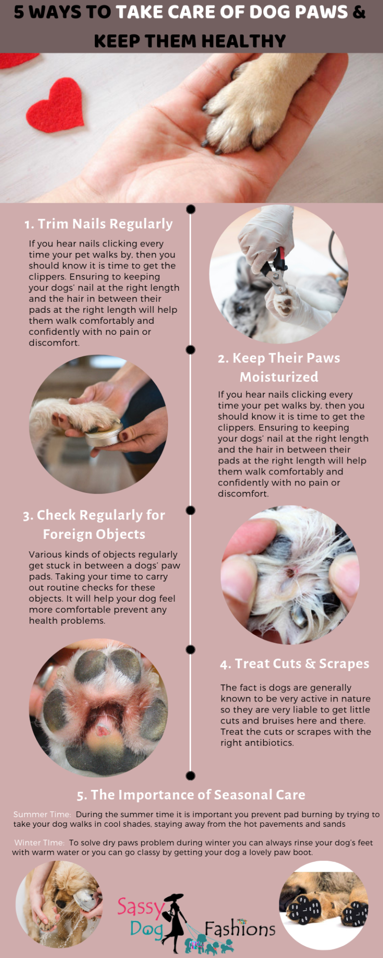 How to Keep Dog Paws Healthy