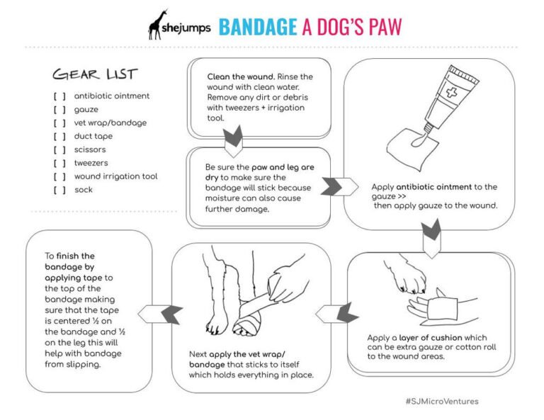 How to Bandage a Dog Paw for a Broken Nail