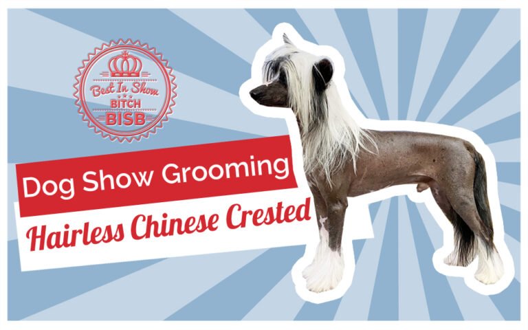 How to Groom a Chinese Crested Dog