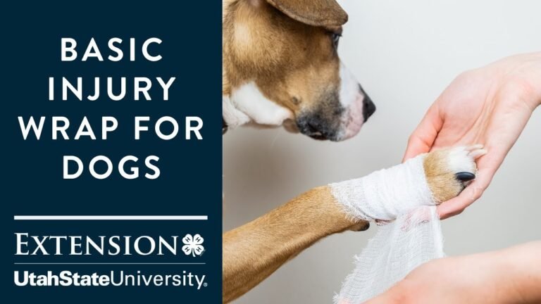 How to Treat a Sprained Dog Paw