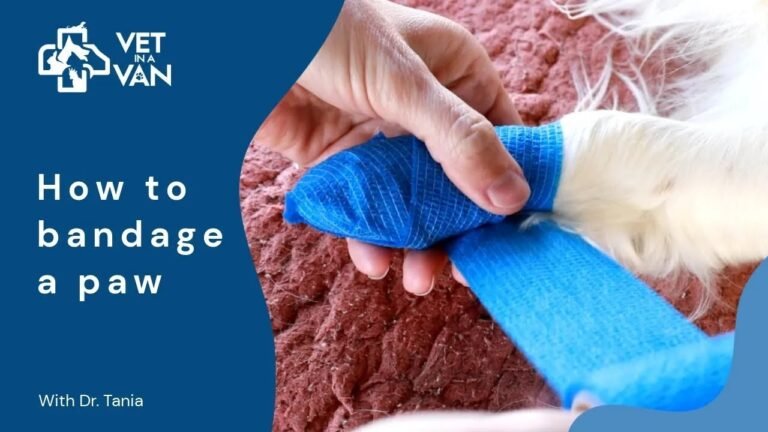 How to Remove a Bandage From a Dog Paw Safely