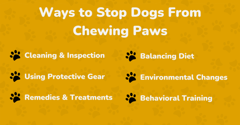 How to Stop My Dog From Chewing His Paws