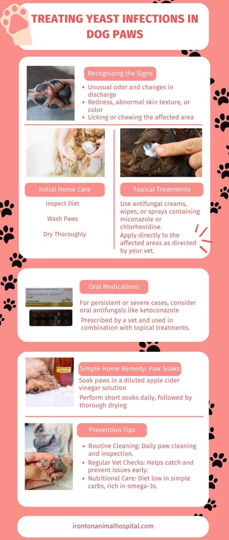 How to Treat Yeast on Dogs Paws